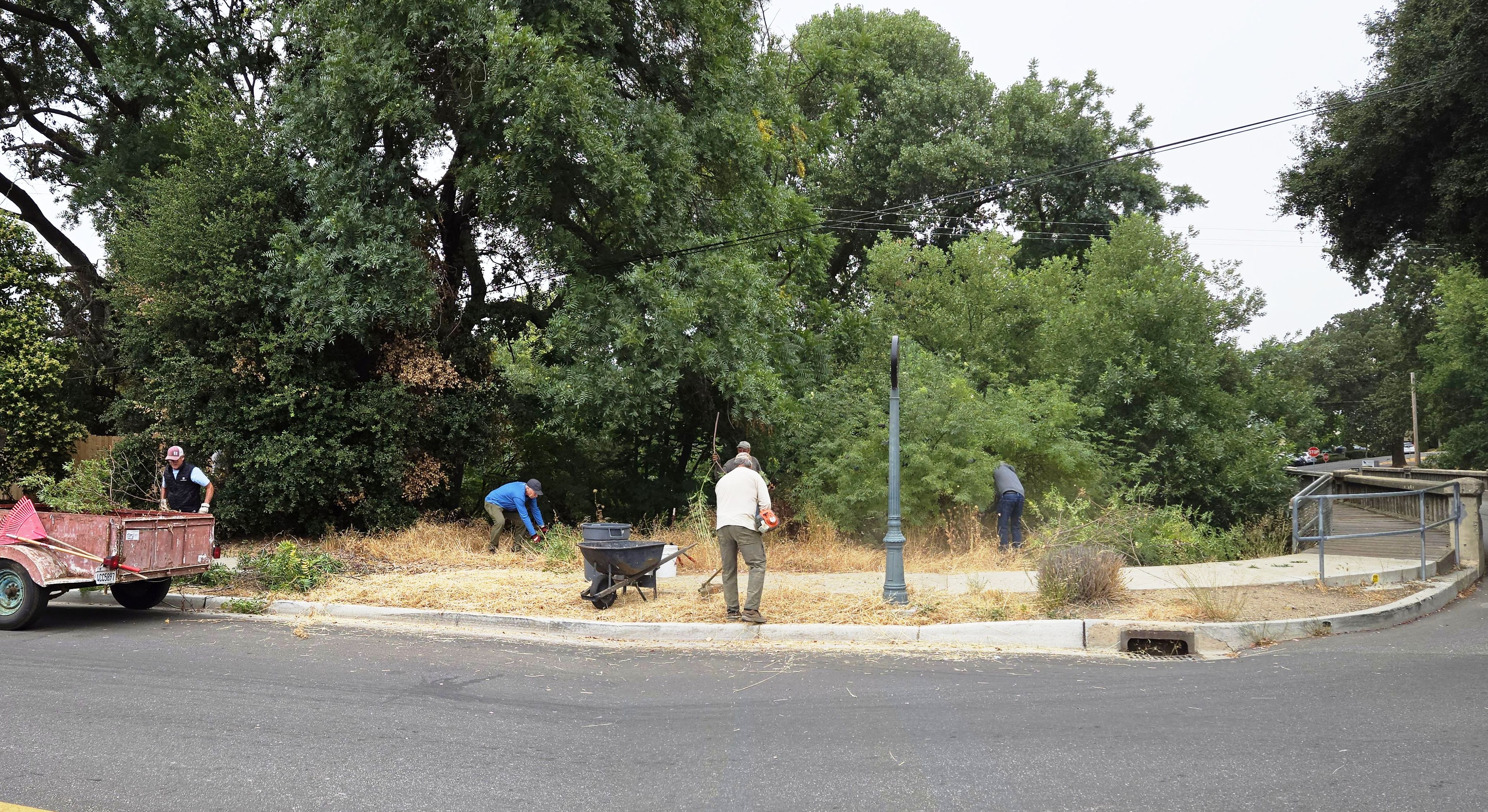 A before picture of the creek bank